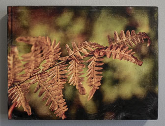 Encaustic Photography